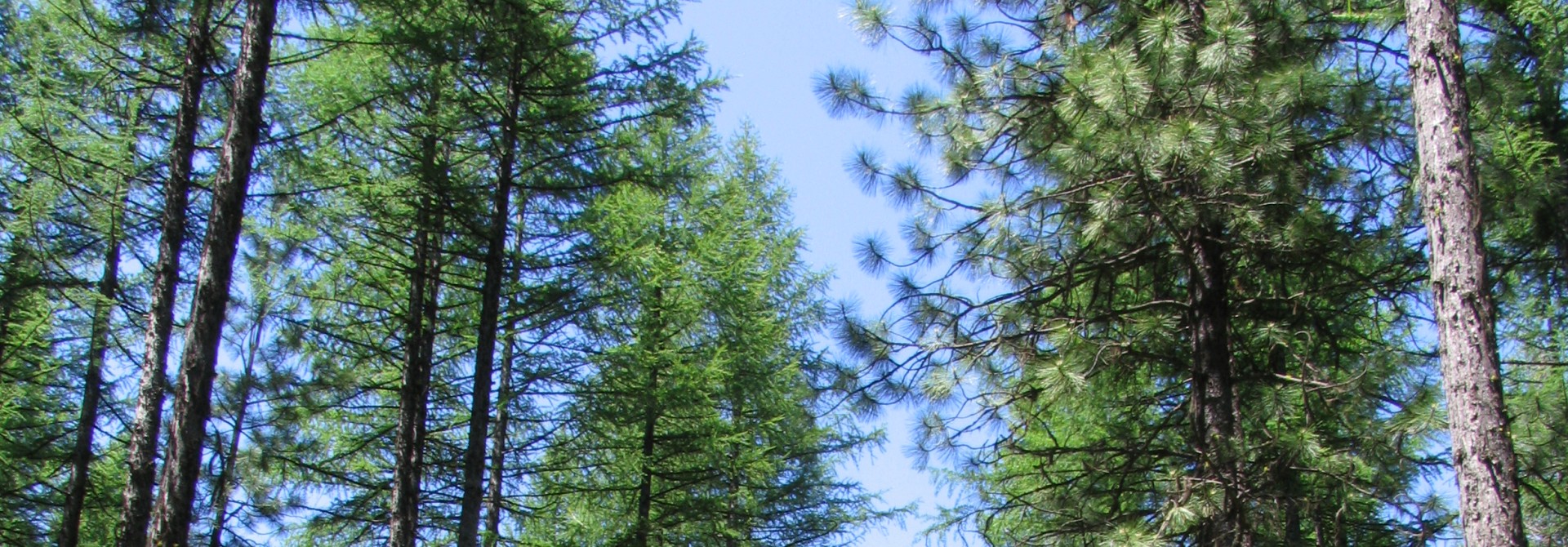 Gothaer Asset Management Intelligent investieren GoAM