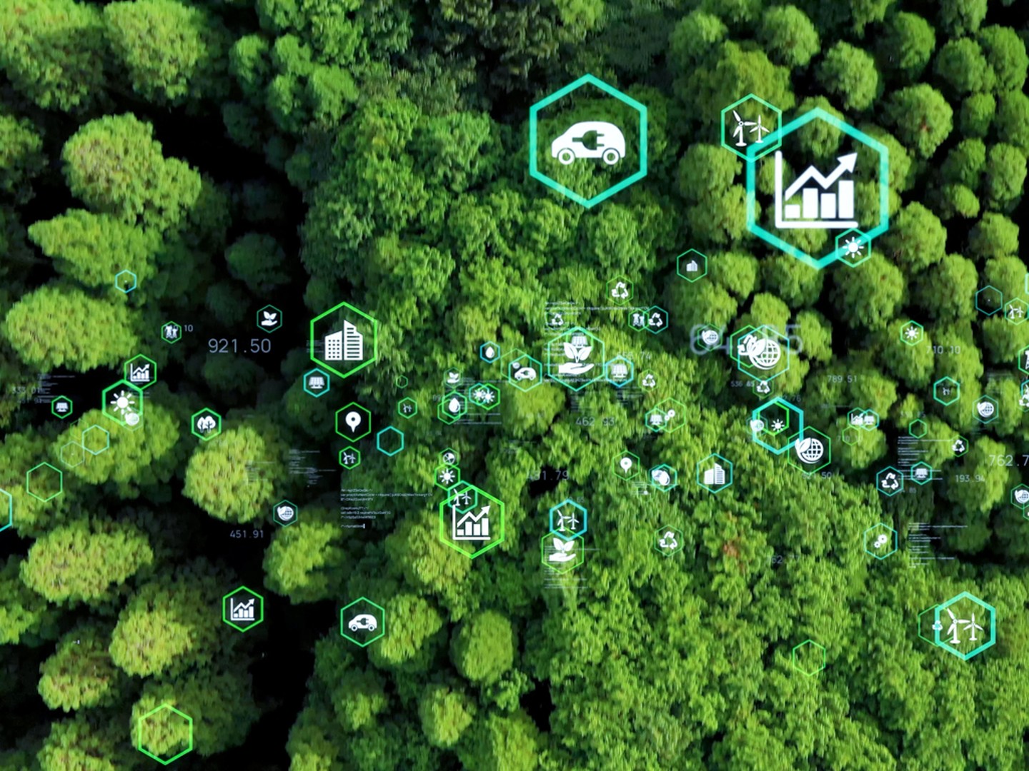 Nachhaltige Kapitalanlage: Wald mit Icons.