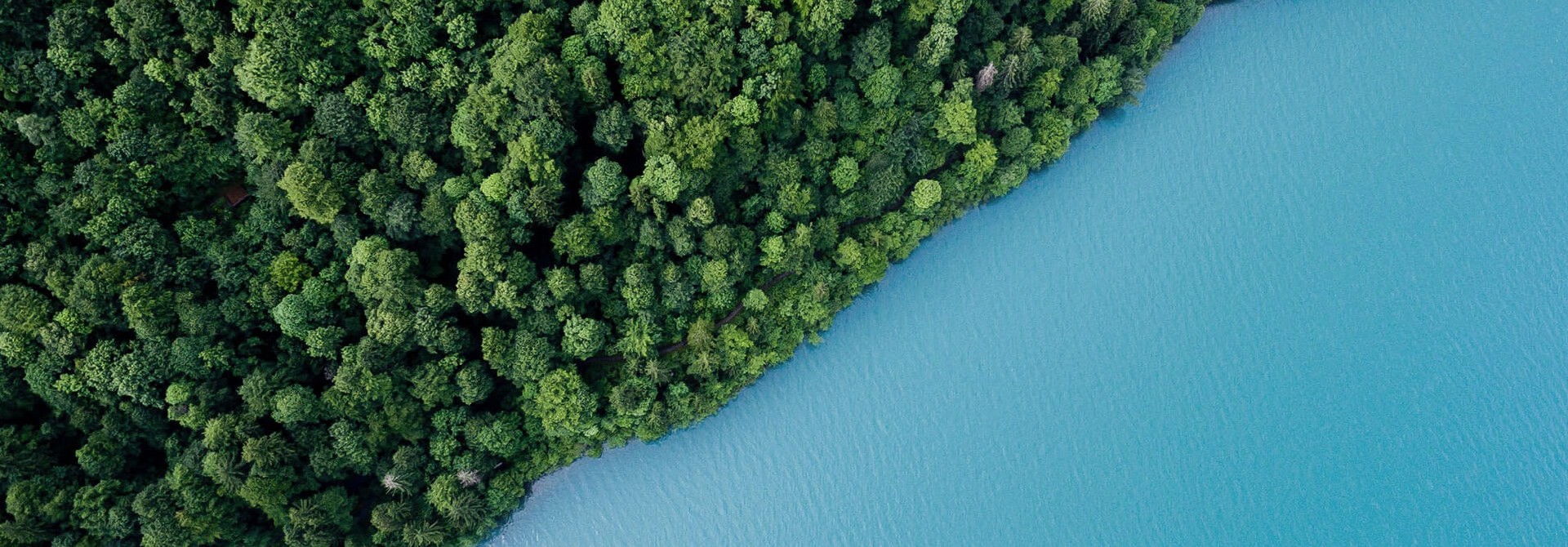 Nachhaltigkeit bei der Gothaer Asset Management AG: Bild Amazonas von oben.